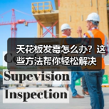 天花板发霉怎么办?这些方法帮你轻松解决(图4) 天花板发霉怎么办?这些方法帮你轻松解决(图4)