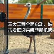 三大工程全面启动，城市发展迎来哪些新机遇？（图4）