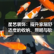 星艺装饰:提升家居舒适度的收纳、照明与软装搭配方法(图4) 星艺装饰:提升家居舒适度的收纳、照明与软装搭配方法(图4)