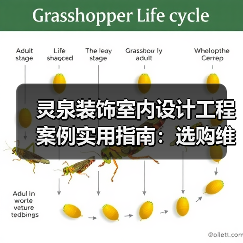 灵泉装饰室内设计工程案例实用指南：选购维护与问题解析（图1）