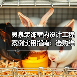 灵泉装饰室内设计工程案例实用指南:选购维护与常见问题(图4) 灵泉装饰室内设计工程案例实用指南:选购维护与常见问题(图4)