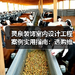 灵泉装饰室内设计工程案例实用指南：选购维护与常见问题解析（图1）