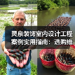 灵泉装饰室内设计工程案例实用指南：选购维护与常见问题解析