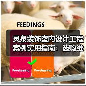 灵泉装饰室内设计工程案例实用指南：选购维护与常见问题解析（图4）